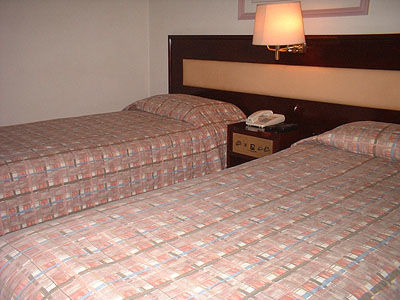 L'hirondelle Flat Service 3*